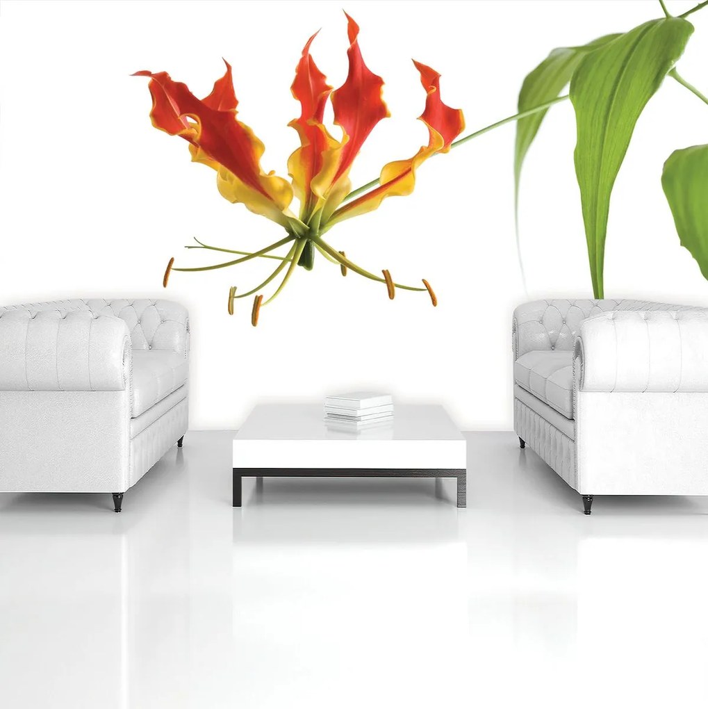 Fototapet - Flori (152,5x104 cm)