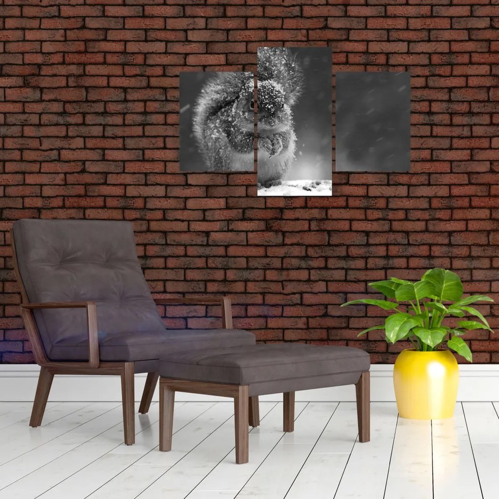 Tablou - Veveriță în timpul iernii (90x60 cm)