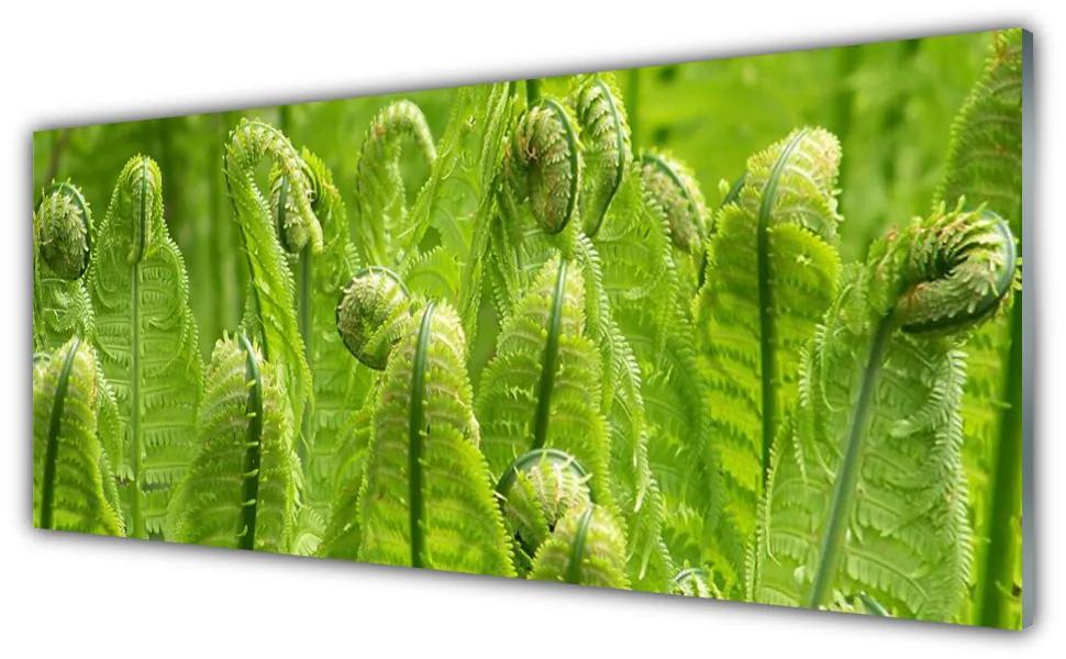 Tablou pe sticla Plante Floral Verde