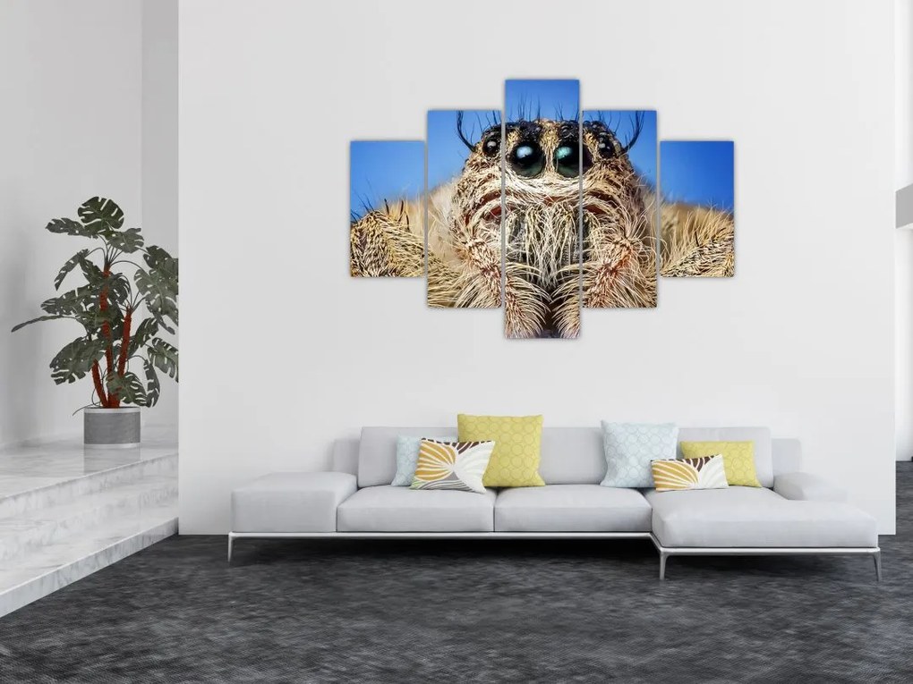 Tablou cu detalii a unui pâianjen (150x105 cm)