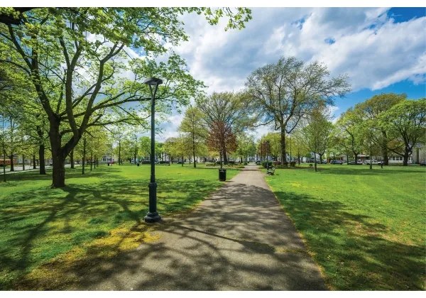 Lampă LED stradală Kanlux 36435 PARCOLI LED/30/40/50W/230V 3000/4000/6500K IP66