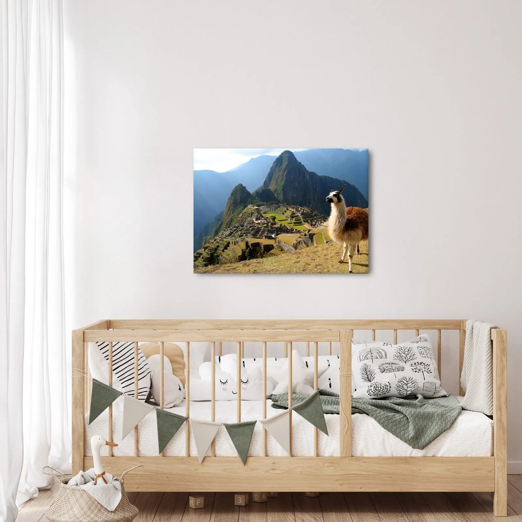 Tablou - Lama și Machu Picchu (70x50 cm)