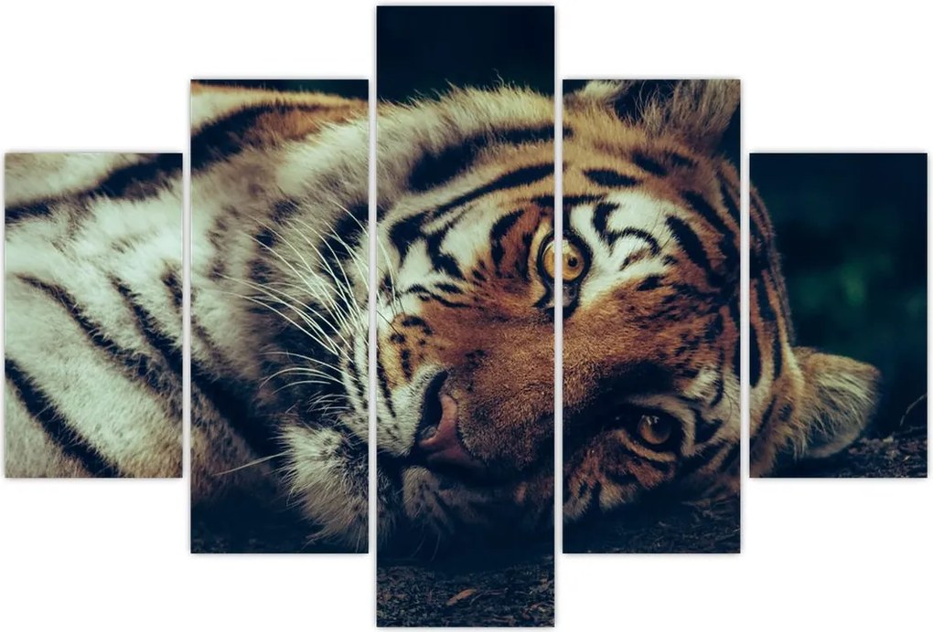 Tablou - Tigrul Siberian (150x105 cm)