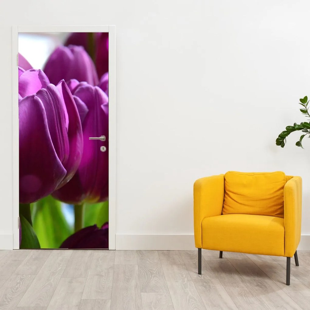 Fototapet pentru ușă - Lalele (95x205cm)