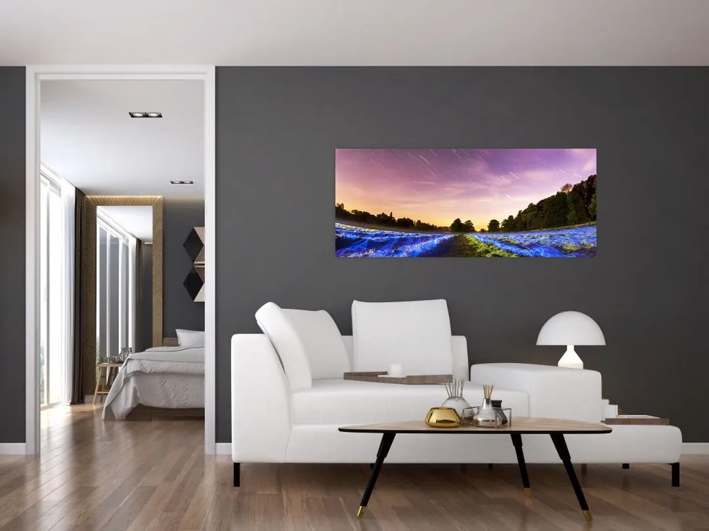 Tablou cu câmp colorat (120x50 cm)