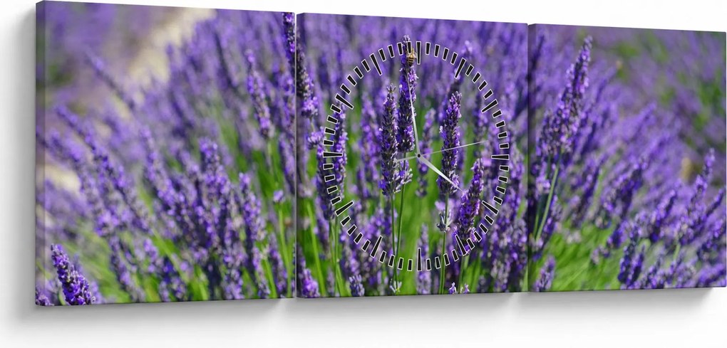 Tablou - lavanda (cu ceas) (90x30 cm)
