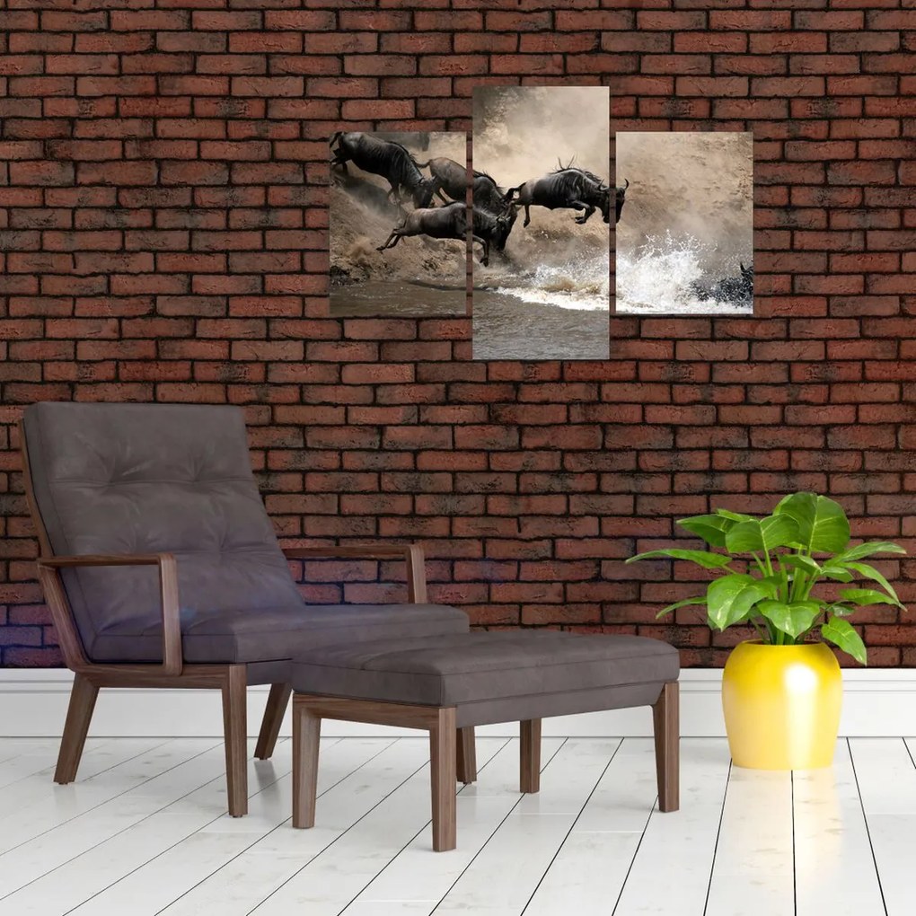 Tablou - Turmă de gnu (90x60 cm)