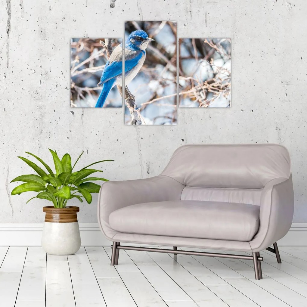 Tablou - Pasare de iarnă (90x60 cm)