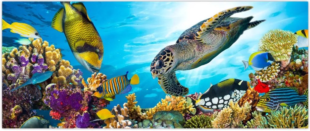 Tablou - Recif de corali (120x50 cm)