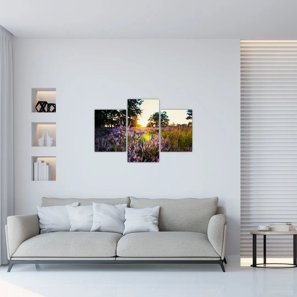Tablou - Câmp cu lavandă (90x60 cm)
