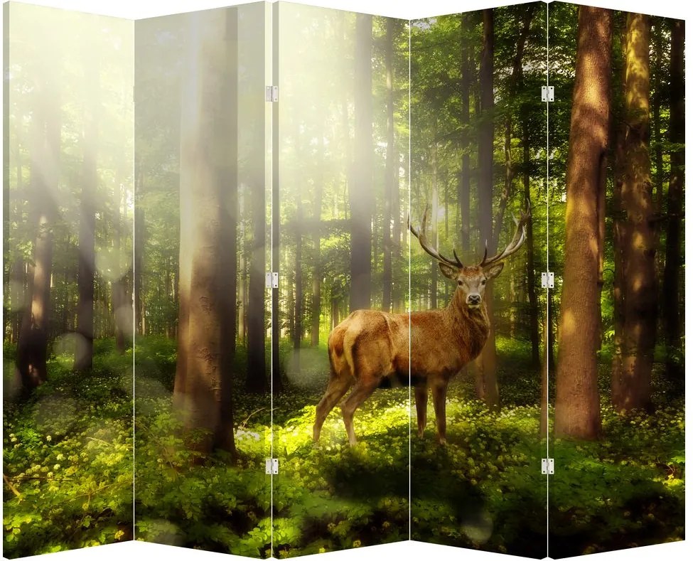 Paravan - Cerbul în pădure (210x170 cm)