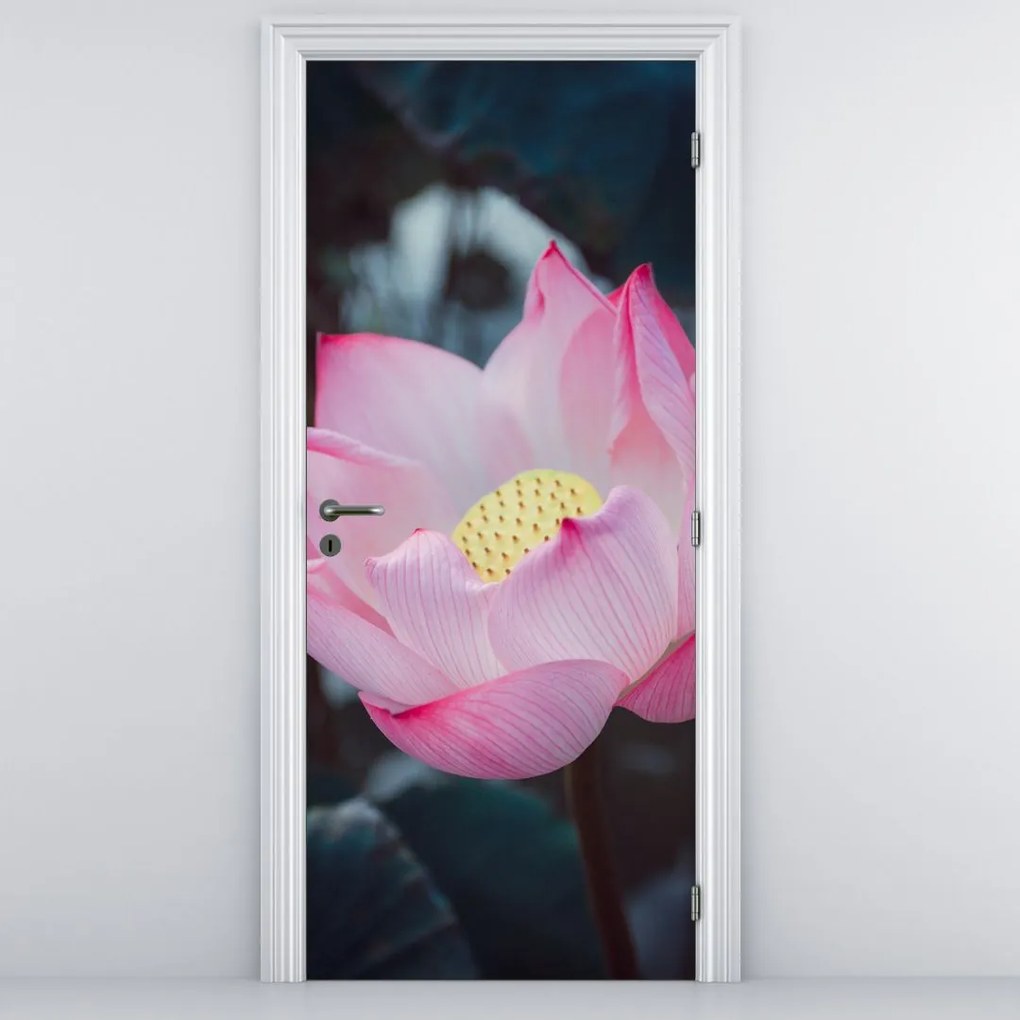 Fototapet pentru ușă - Flori roz (95x205cm)