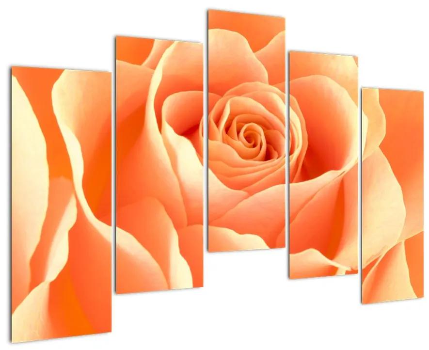 Tablou - trandafiri portocalii (125x90cm)