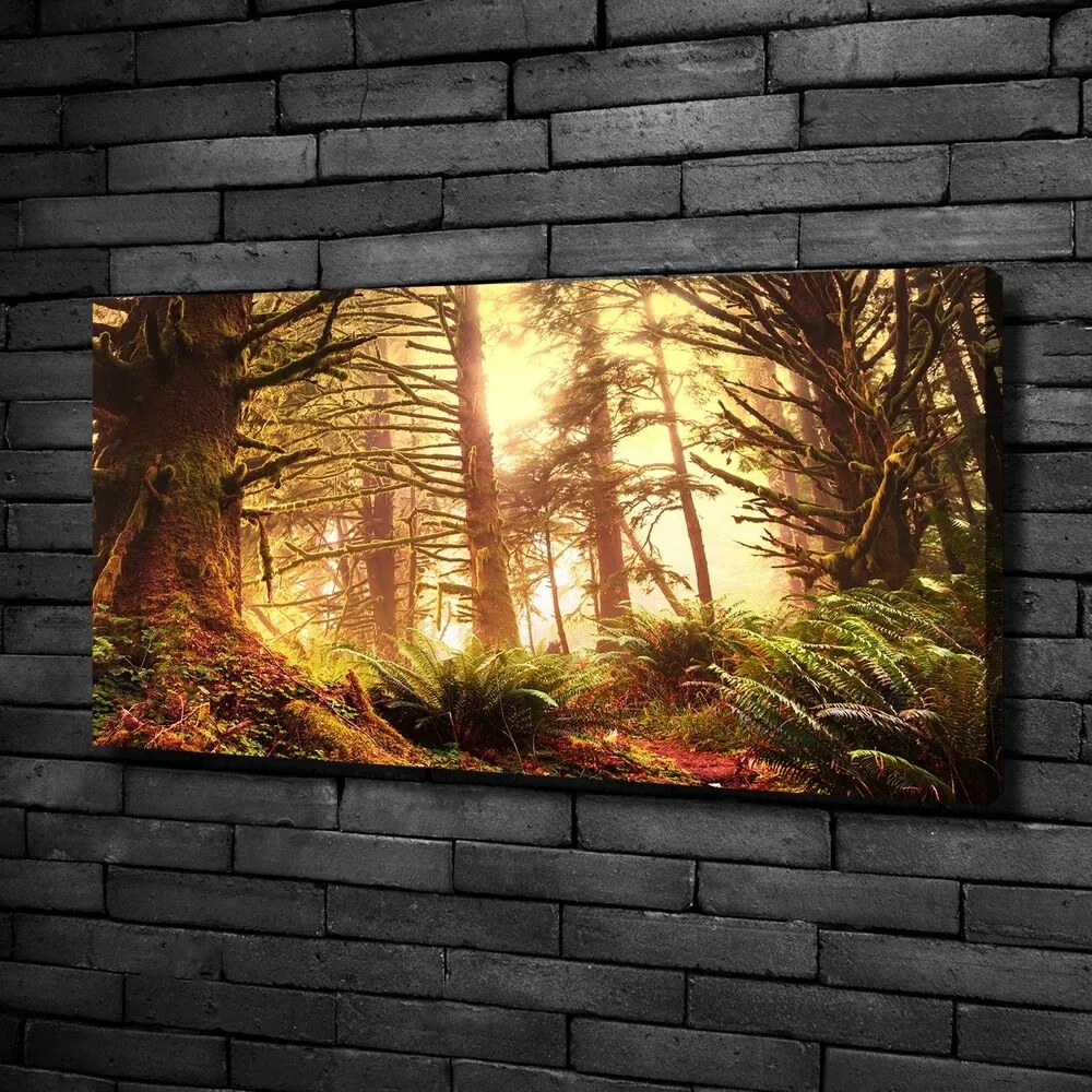 Tablou canvas Pădurea tropicală