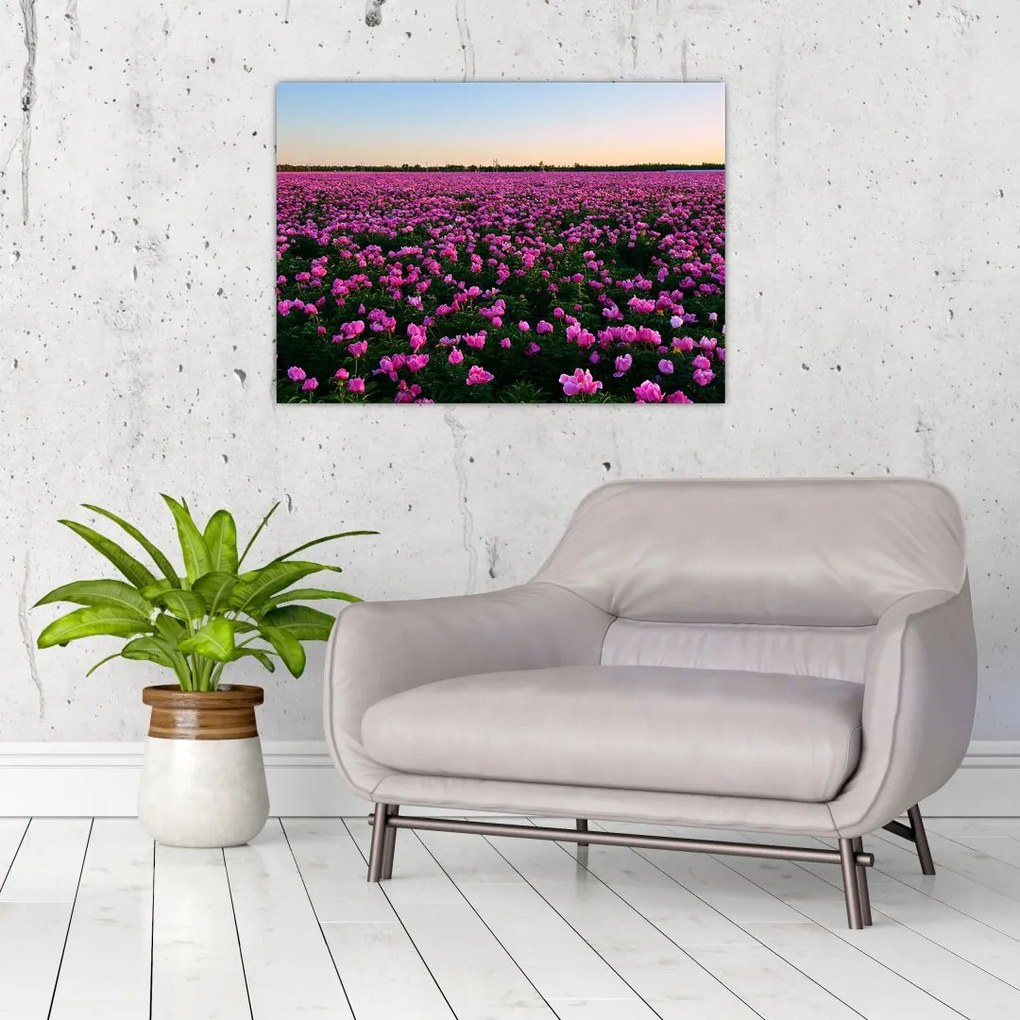Tablou pe sticlă - Pajiștea cu lalele violet (70x50 cm)