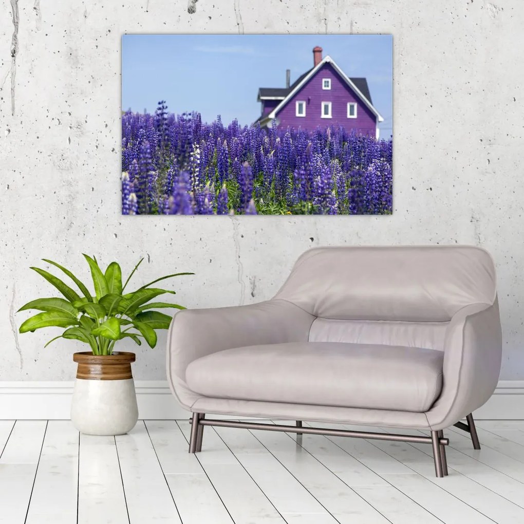 Tablou cu câmp de lavanda (90x60 cm)