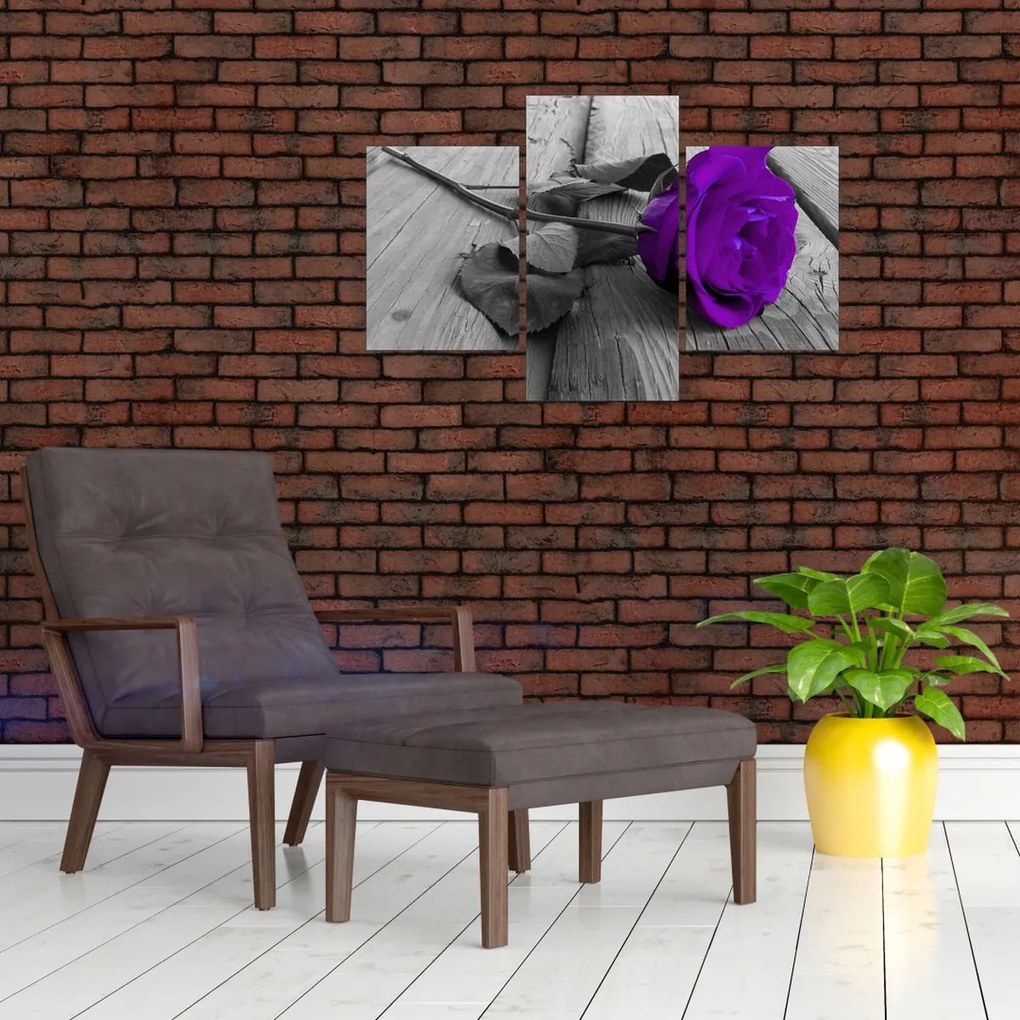 Tablou - Trandafir violet cu tulpina verde (90x60 cm)