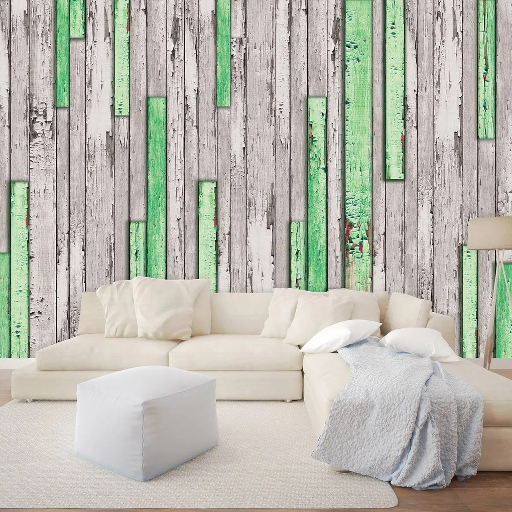 Fototapet - Scândură gri și verde ruptă (152,5x104 cm)