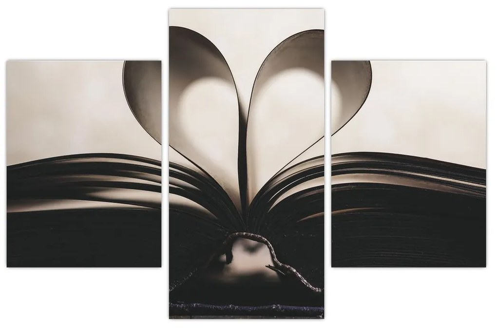 Tablou cu carte (90x60 cm)