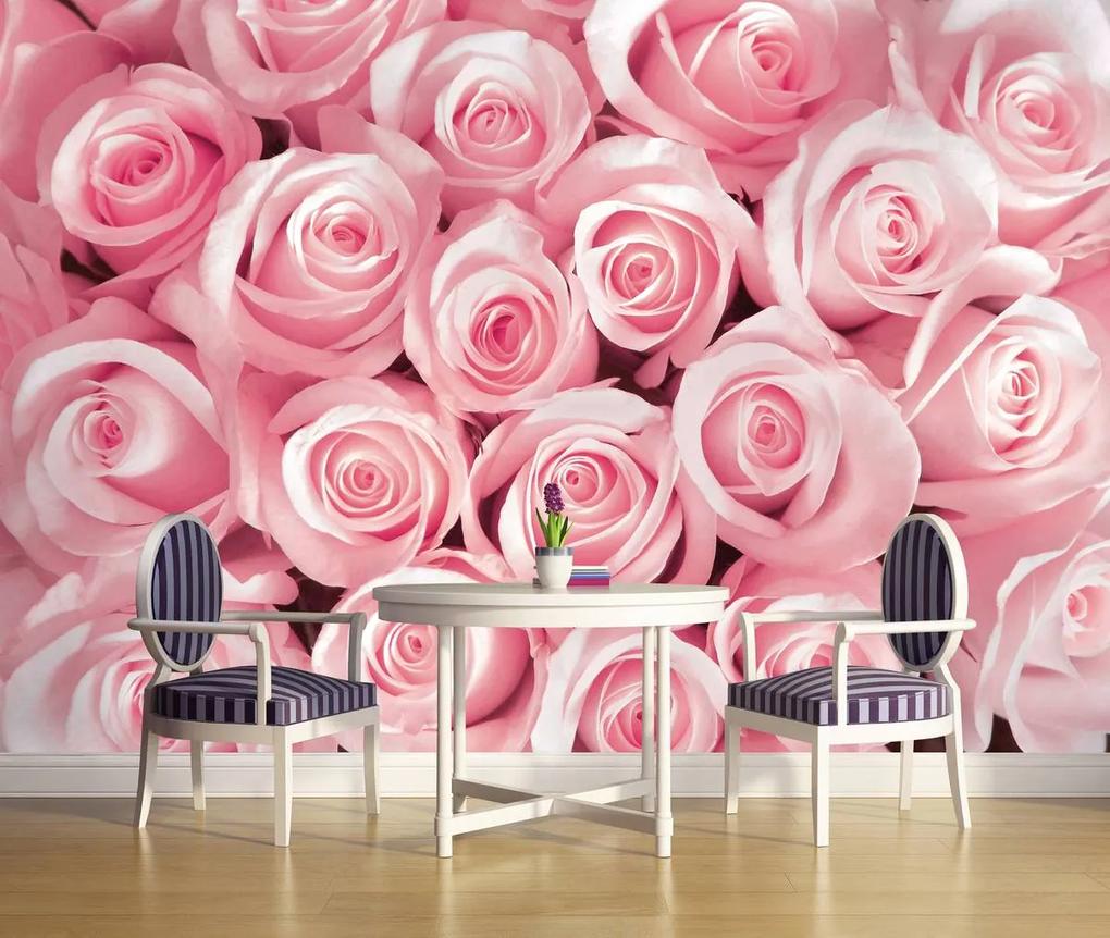 Fototapet - Trandafirii roz (254x184 cm), în 8 de alte dimensiuni noi