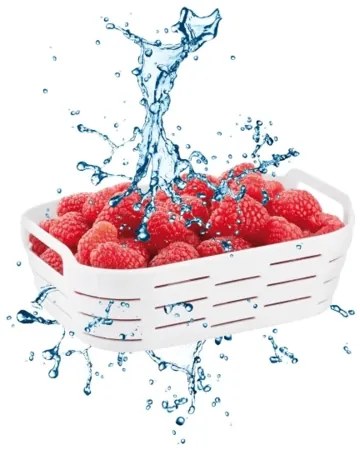Recipient pentru congelator cu coș Tescoma 4FOOD  2,0 l, 2 l