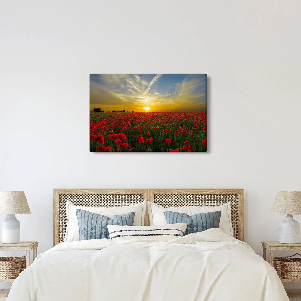 Tablou cu câmp cu maci (90x60 cm)