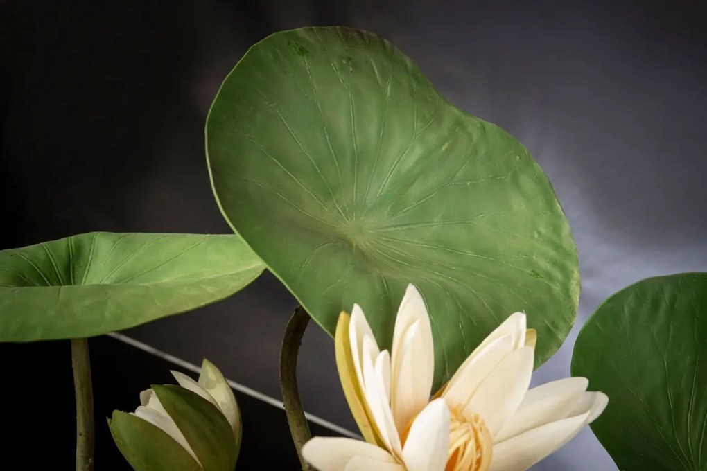 Aranjament floral mediu design LUX LOTUS FLOWERS