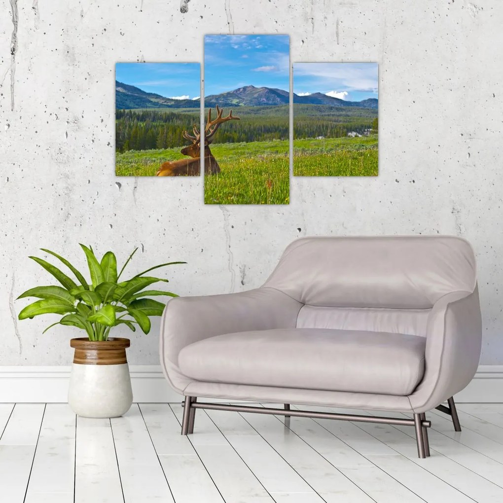 Tablou - Cerb în luncă (90x60 cm)