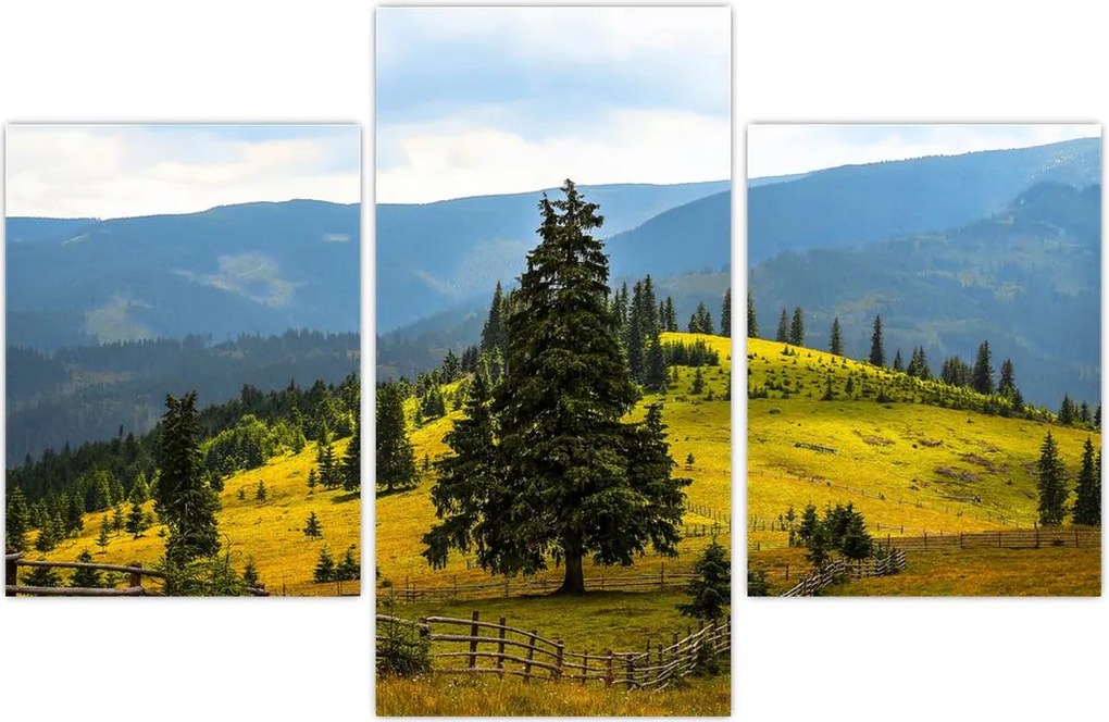 Tablou - Lunca de munte (90x60 cm)