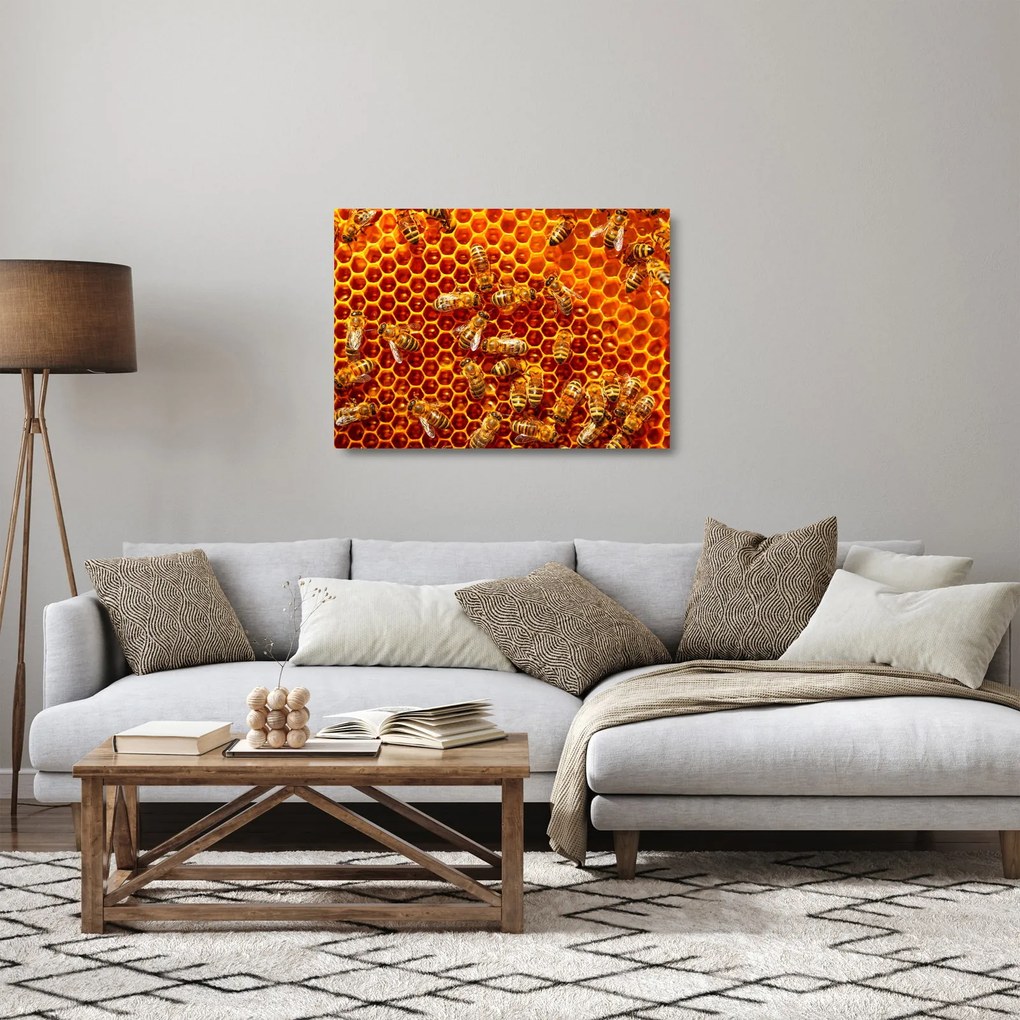 Tablou pe sticlă - Fagure de miere (70x50 cm)