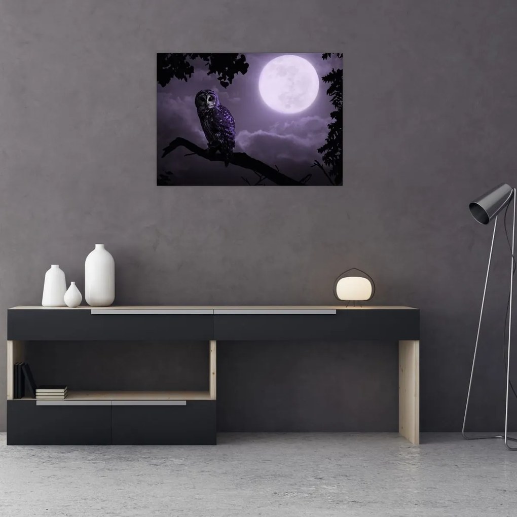 Tablou pe sticlă - Bufniță de noapte, violet (70x50 cm)