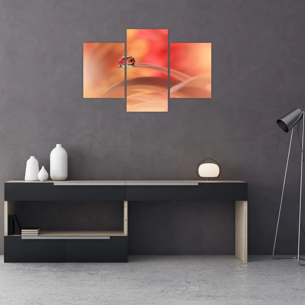 Tablou picăturii de rouă pe floare (90x60 cm)