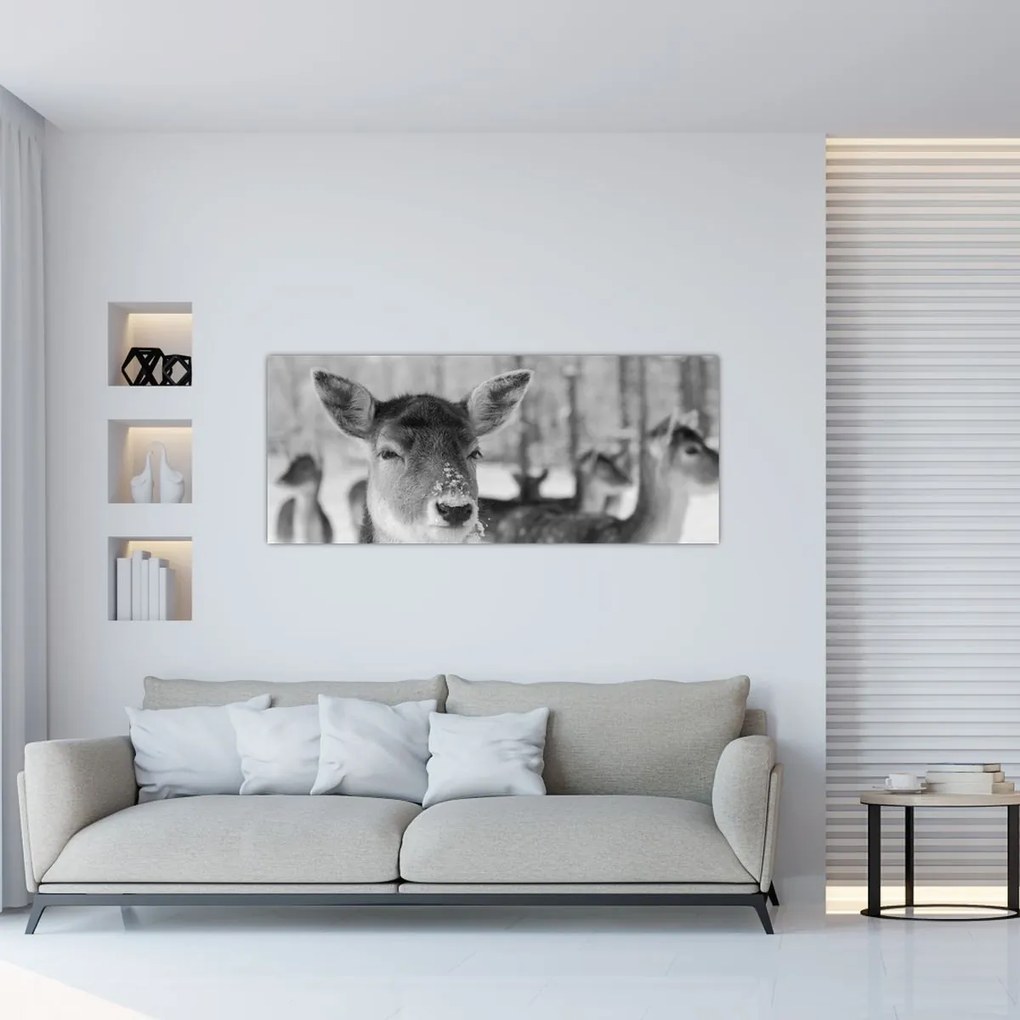 Tablou - Cerbi,alb-negru (120x50 cm)