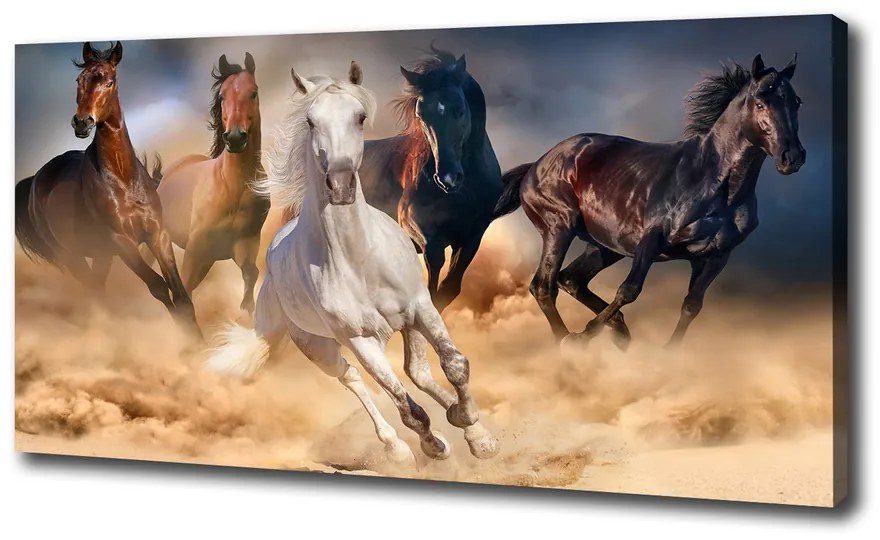 Imprimare tablou canvas Galopantă cai