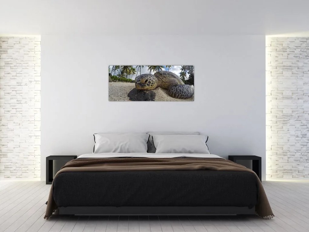 Tablou cu broască țestoasă (120x50 cm)