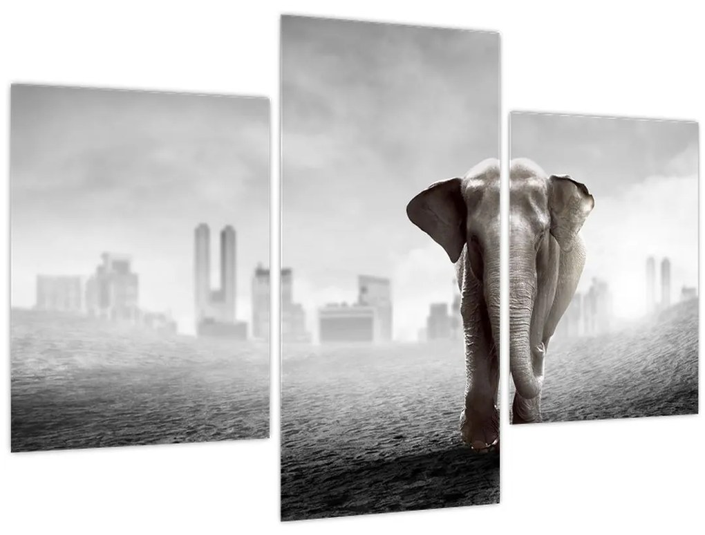 Tablou - Elefanți în oraș, versiunea alb-negru (90x60 cm)