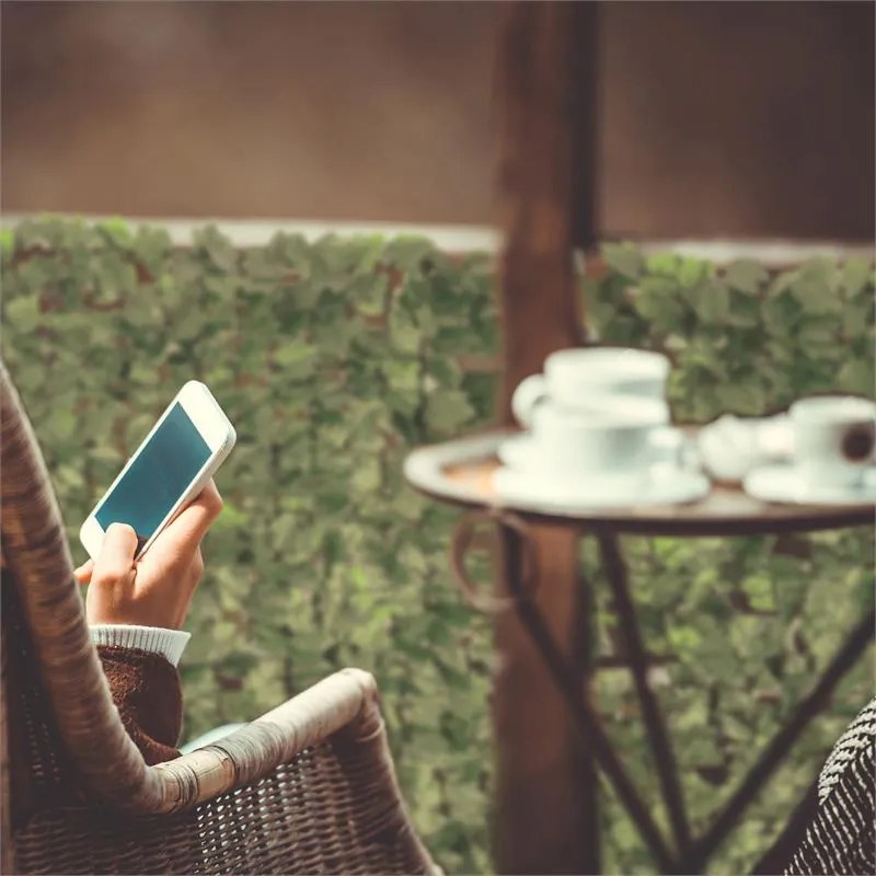 Blumfeldt Fency Bright Leaf, frunze iedera de culoare verde deschis- gard de protecție împotriva vântului 300 x 150 cm