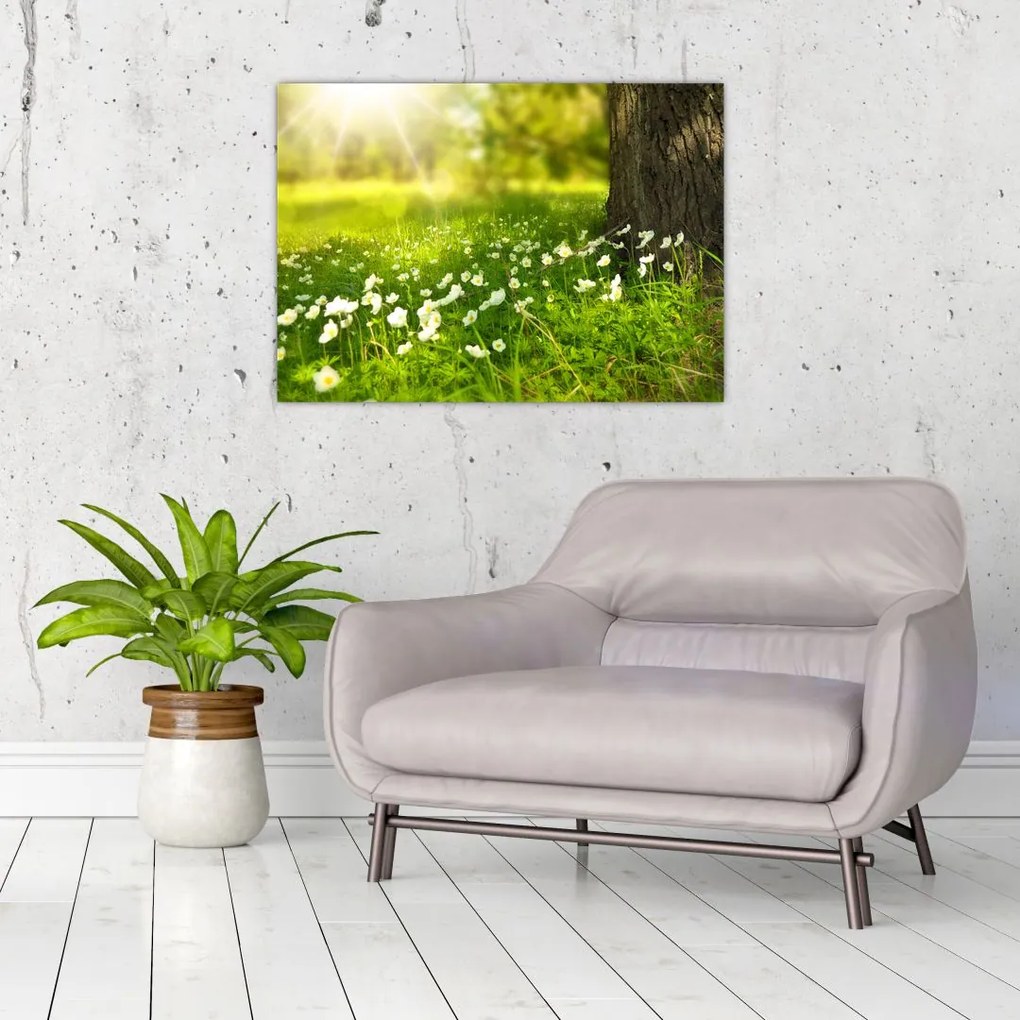 Tablou cu poiana și flori (70x50 cm)