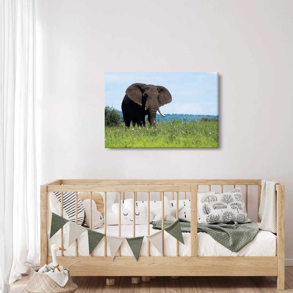 Tablou cu elefant (90x60 cm)