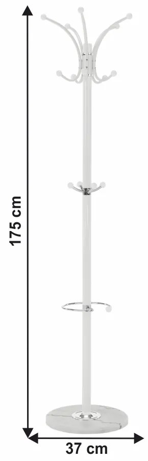 Cuier Aleron (Alb). 1001794