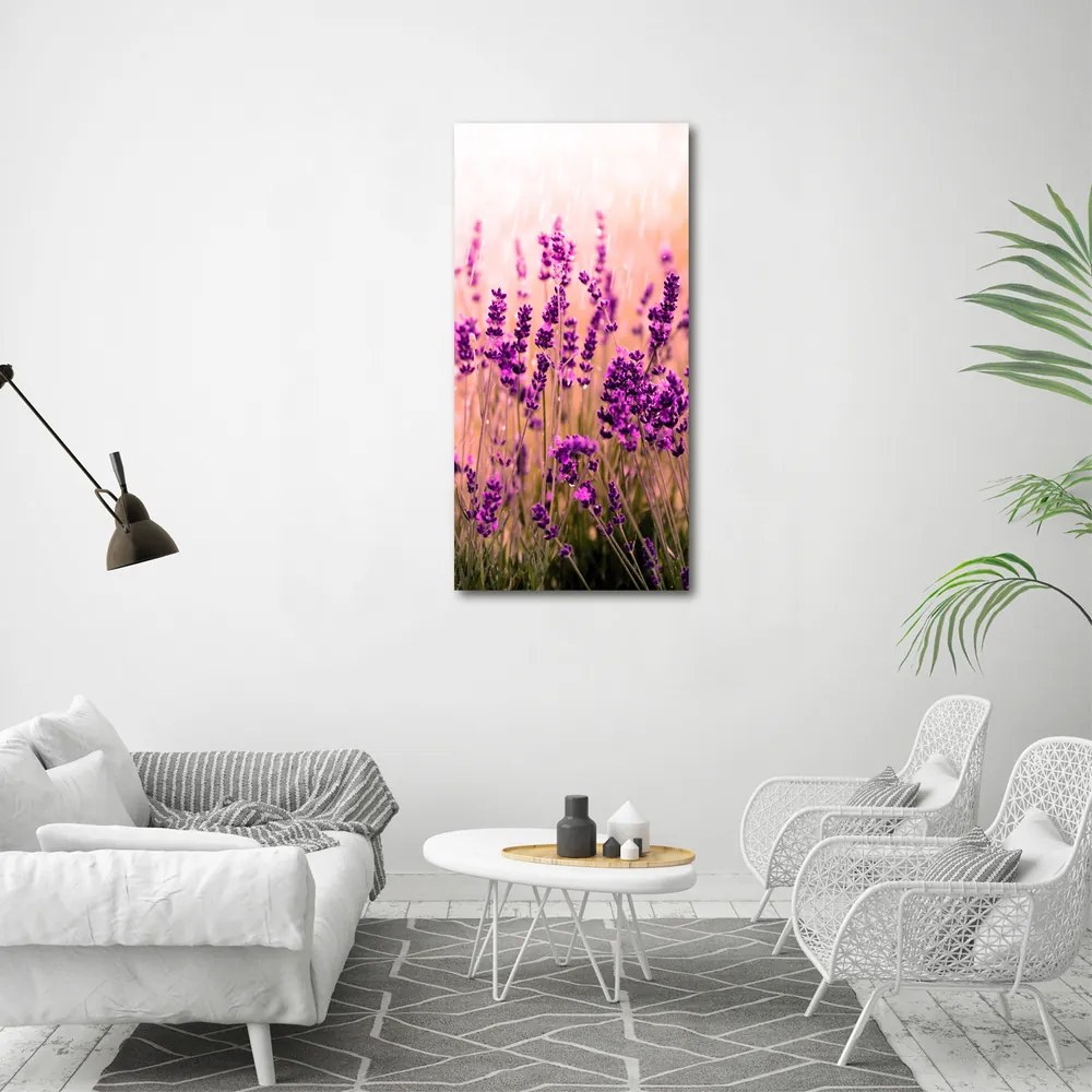 Print pe canvas Câmp de lavandă