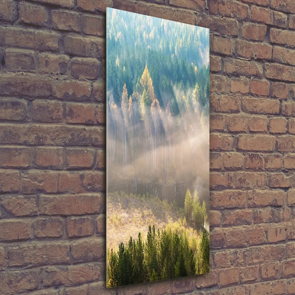 Tablou Printat Pe Sticlă Ceață peste pădure