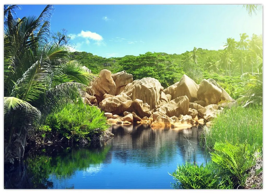 Tablou cu lac în jungla din Seychelles (70x50 cm)