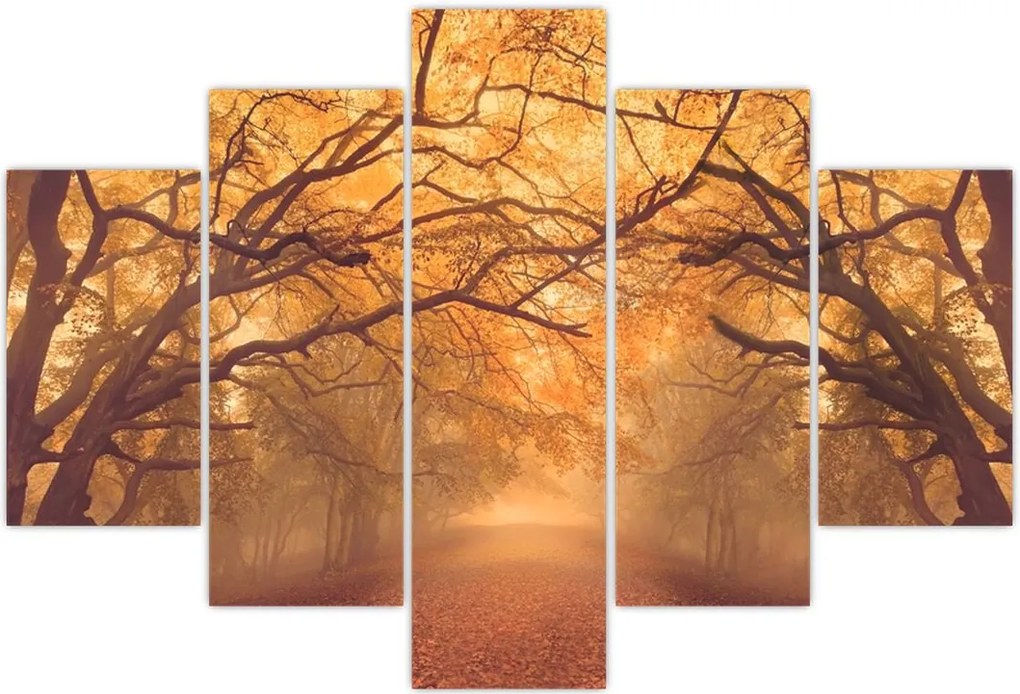 Tablou - Peisaj de toamnă cu drum (150x105 cm)