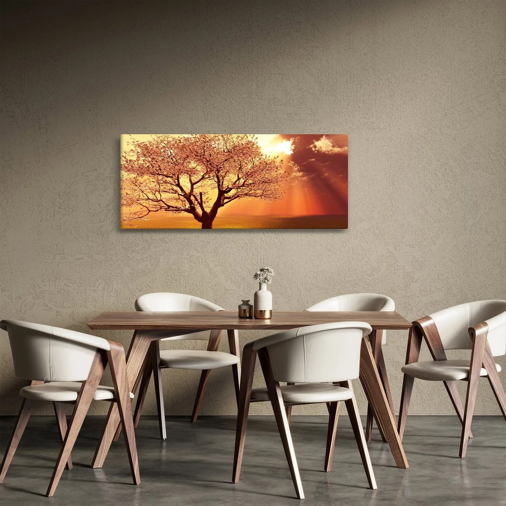 Tablou cu razele lui Dumnezeu (120x50 cm)