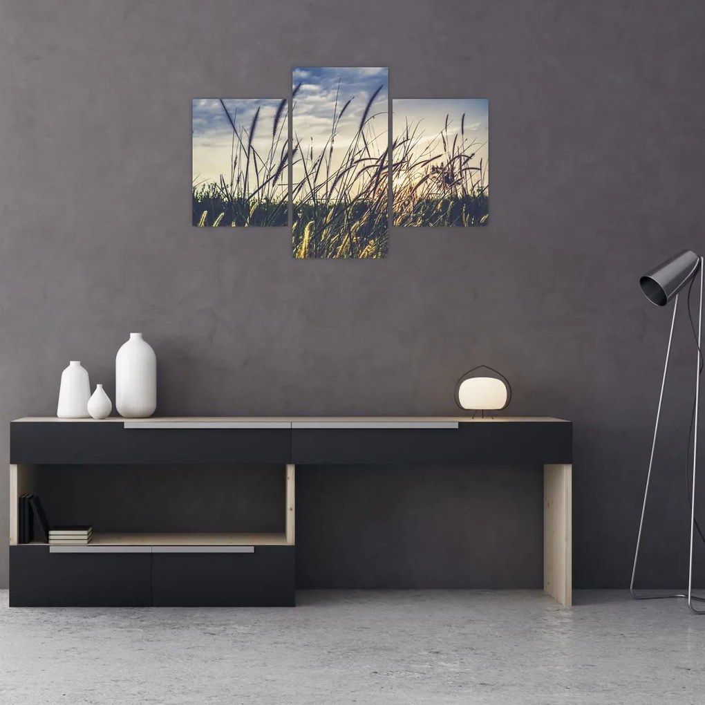 Tablou cu flori de câmp (90x60 cm)