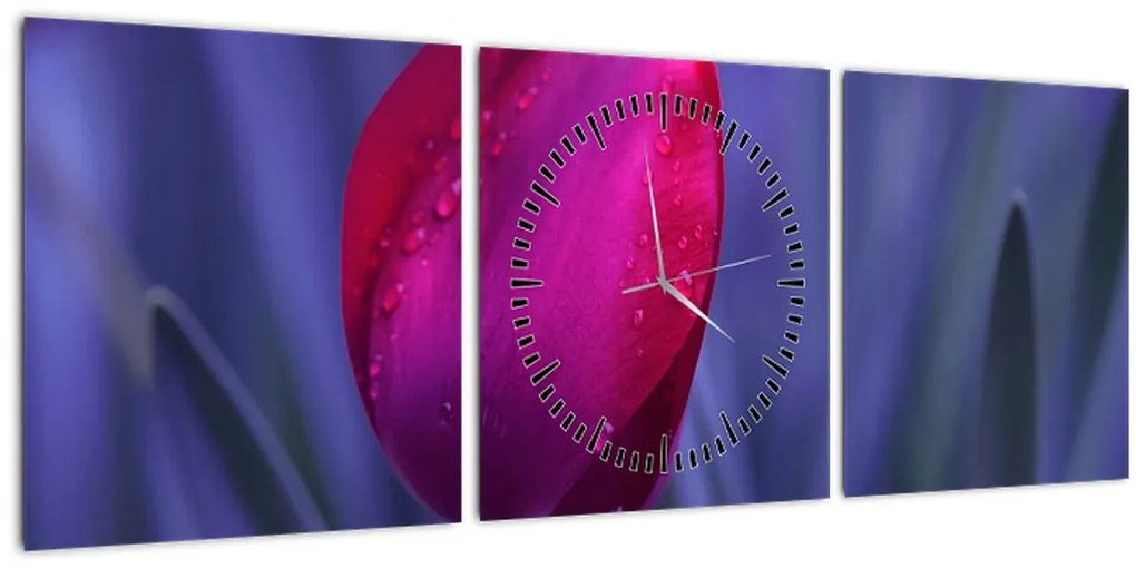 Tablou mugure de lalea (cu ceas) (90x30 cm)