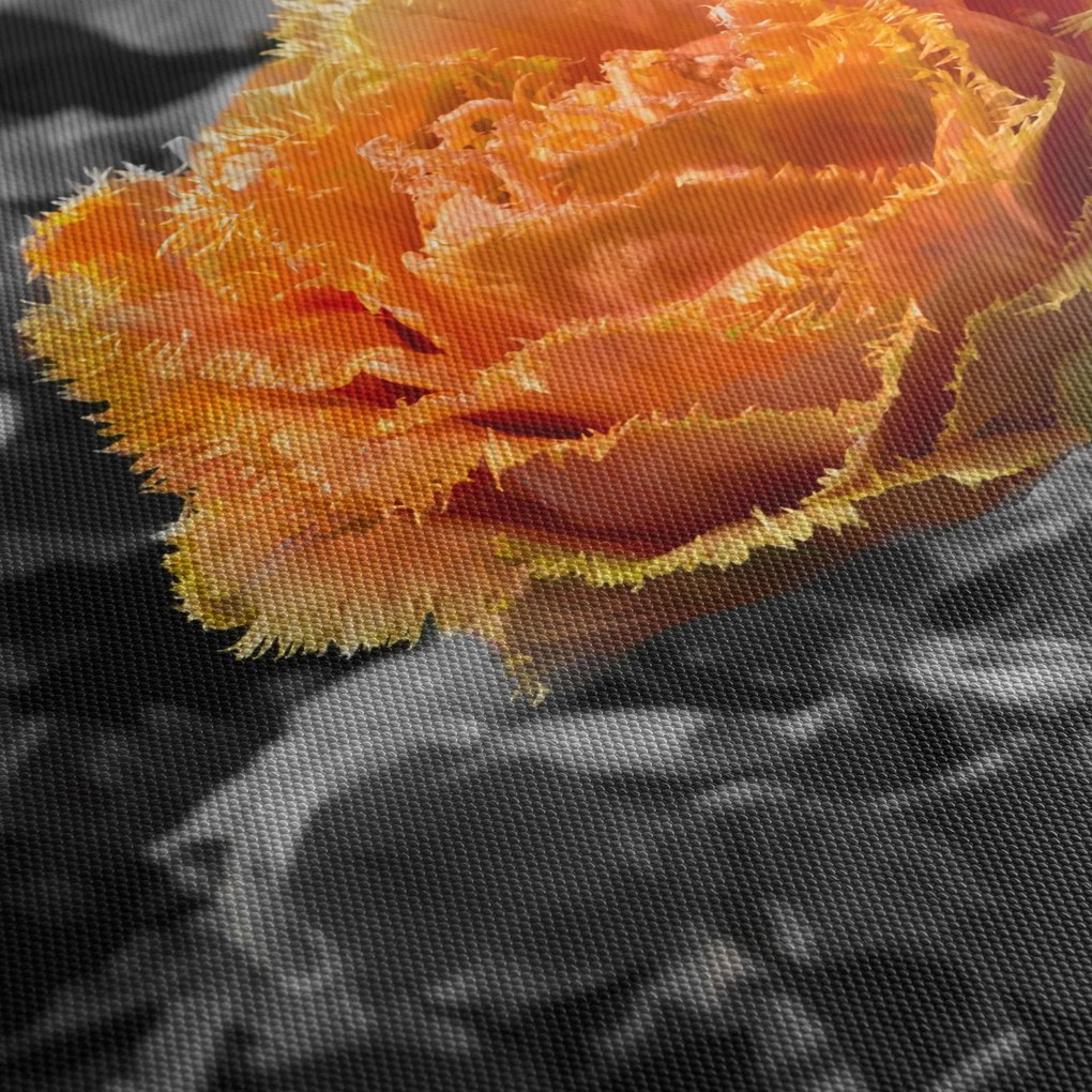 Tablou cu floare (70x50 cm)