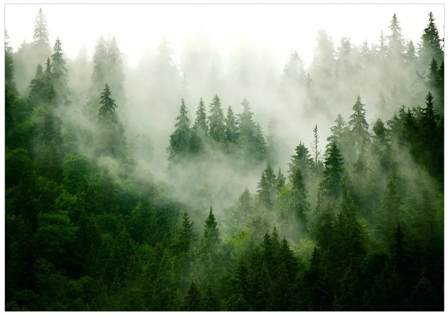 Fototapet - Mountain Forest (Green)
