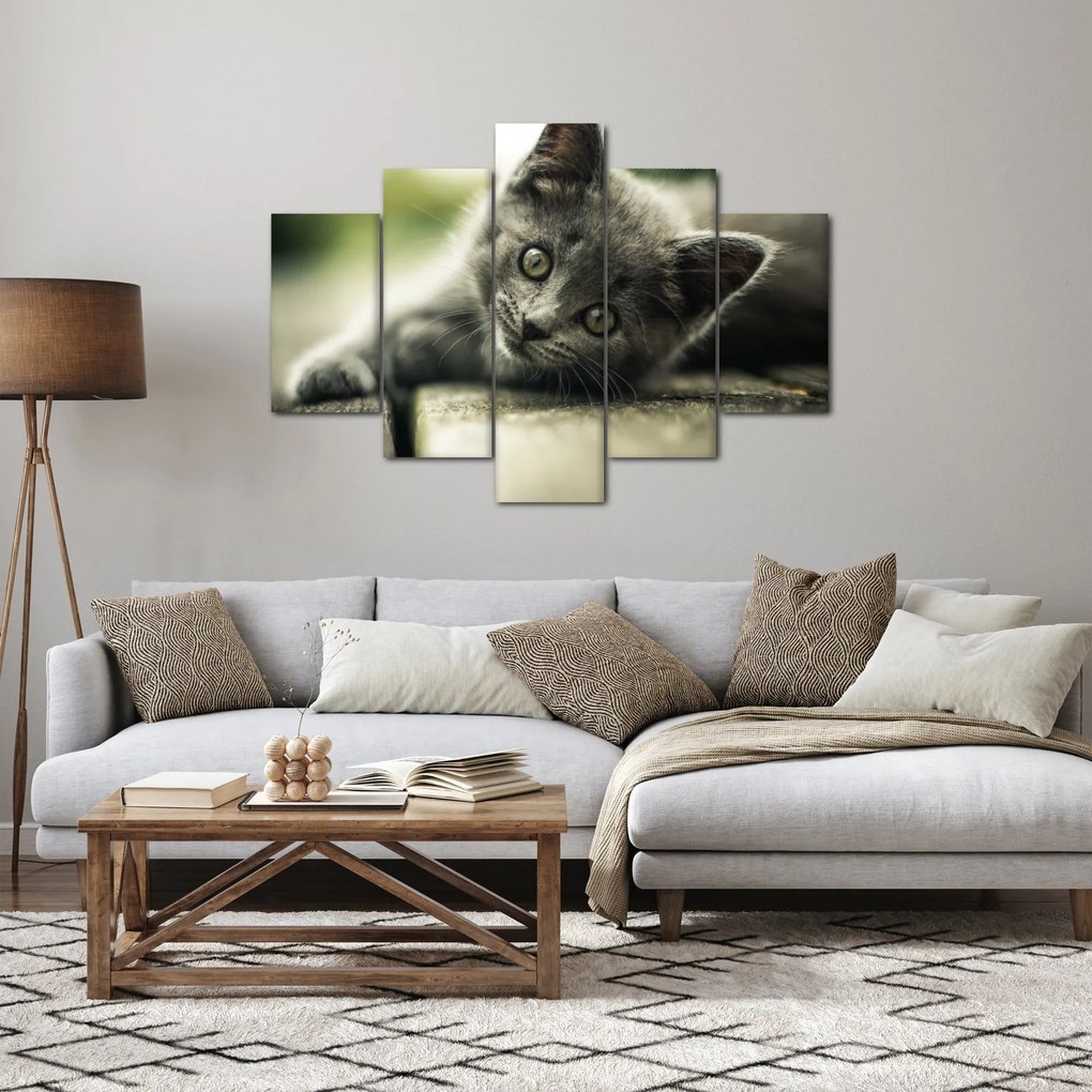 Tablou cu pisicuța (150x105 cm)